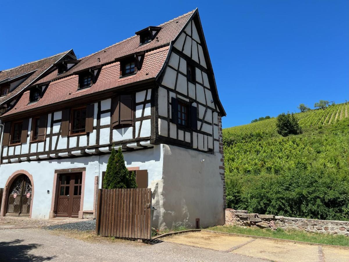 Domaine La Cour Des Nobles - Demeure, Maison Et Appartements Au Coeur De Рикевир Экстерьер фото