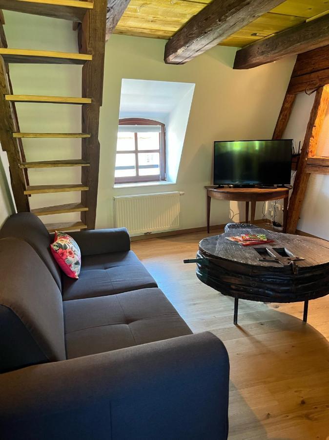 Domaine La Cour Des Nobles - Demeure, Maison Et Appartements Au Coeur De Рикевир Экстерьер фото